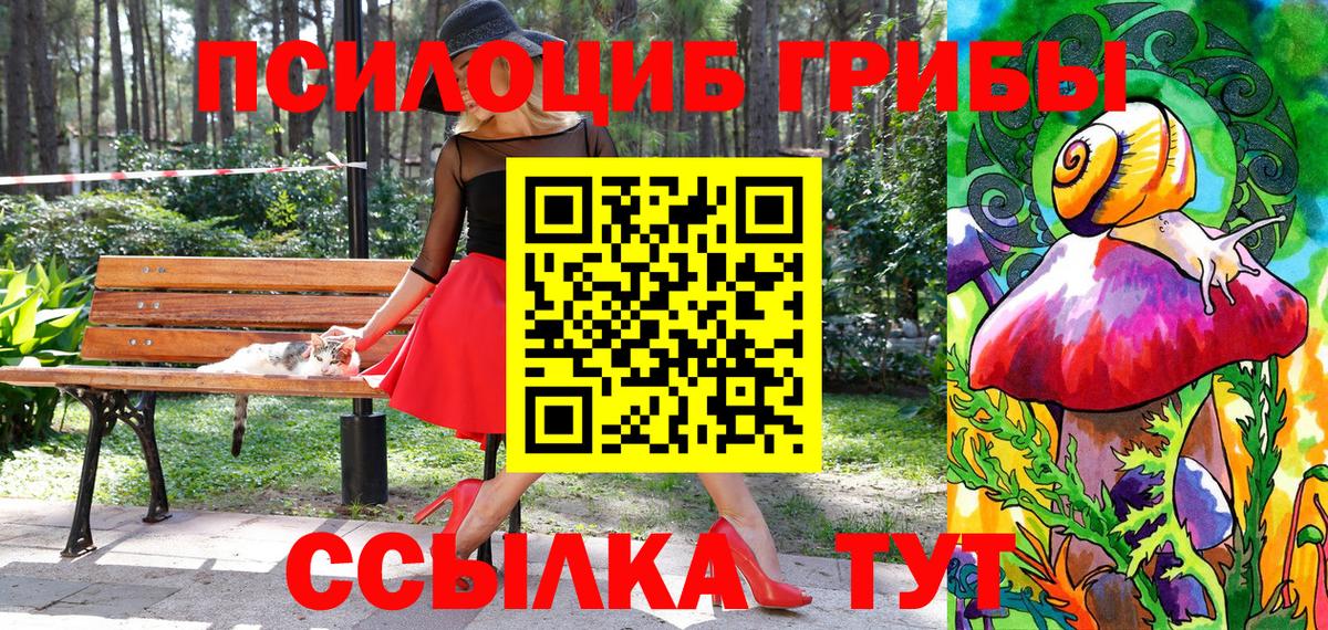 Тимашёвск  Псилоцибиновые грибы Cubensis  Вход с VPN  Псилоцибиновые грибы MAGIC MUSHROOMS 